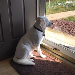 Meet your Posher, Barb